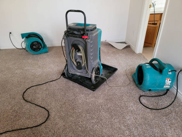 Best Flooded house restoration  in Brighton, IL