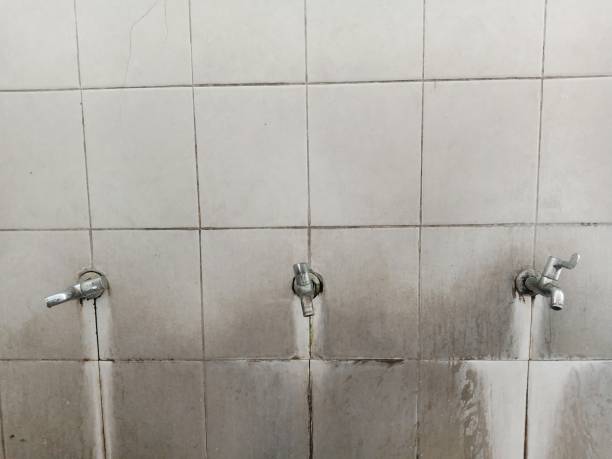Best Water damage restoration near me  in Brighton, IL