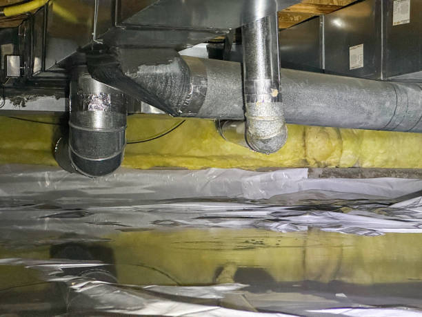 Best Water damage restoration near me  in Brighton, IL