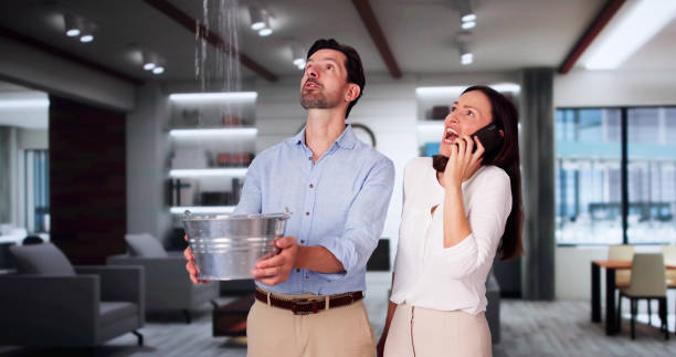 Best Basement water damage restoration  in Brighton, IL