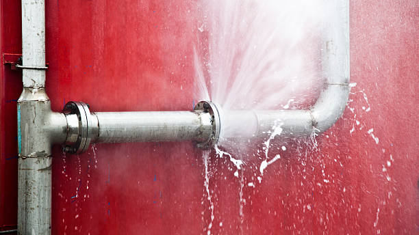 Best Water damage contractors near me  in Brighton, IL